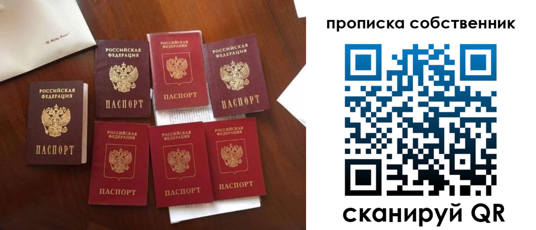 прописка для школы в Порхове